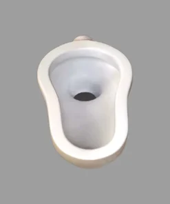 Ordinary Asian Toilet