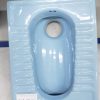 Step Asian Toilet